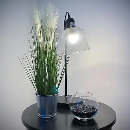 Le Convivial, Centre Apartamento *